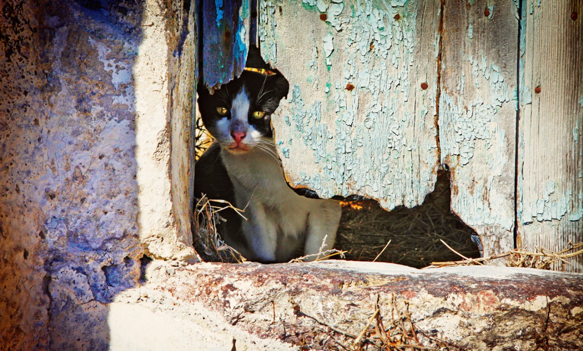 CYCLADES chat