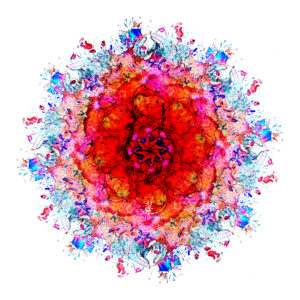 JM.FLOWER POWER MANDALA