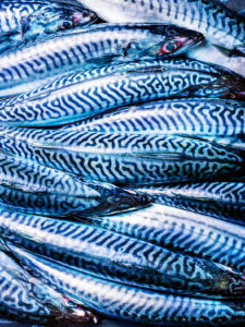 Matières et textures : maquereaux focus